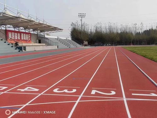 नवीनतम कंपनी ब्लॉग के बारे में रबर ट्रैक और प्लास्टिक ट्रैक के बीच अंतर