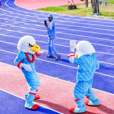 नॉन टॉक्सिक सैंडविच रनिंग ट्रैक, IAAF सर्टिफिकेशन के साथ एथलेटिक रेस ट्रैक