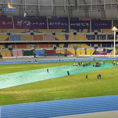 अच्छा मूल्य वज़न 8 किलो / टाइल 6 साल की वारंटी उच्च प्रभाव प्रतिरोध पोर्टेबल इवेंट फ्लोरिंग घास सुरक्षा के लिए ऑनलाइन