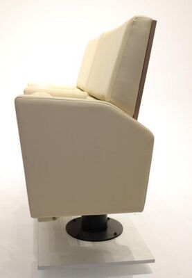 अच्छा मूल्य वाणिज्यिक टिकाऊ आधुनिक थियेटर सीटें EN1021 आग रेटिंग पूरी तरह से सिनेमाघरों के लिए गद्देदार ऑनलाइन